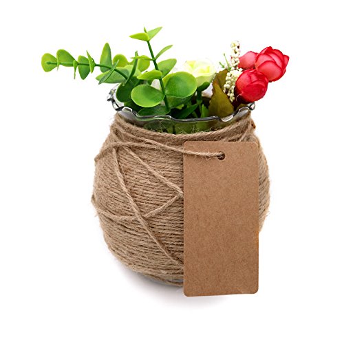 Father's Gift Tags, 3.5” x 1.7” Brown Gift Tags 100 PCS Kraft Paper Gift Tag with 100 Feet Jute Twine String for Arts and Crafts, Wedding Christmas Day - G2plus