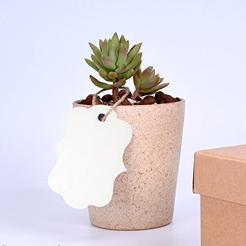 100PCS Blank Gift Tags, 2.75''x 1.97'' Kraft Blank Hang Tags with 100 Feet Jute Twine - G2plus