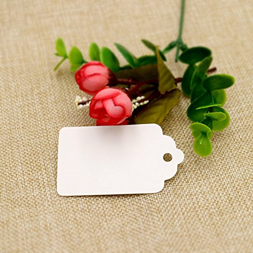 White Gift Tags,100PCS Paper Tags with 100 Feet Jute String for Arts and Crafts, Wedding Christmas Day Thanksgiving,7 cm X 4 cm - G2plus