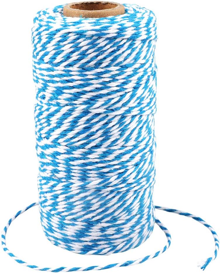G2PLUS 100M Blue and White Craft Bakers Twine 2MM Cotton Garden Thread Durable String Spool for DIY Crafts and Handmade Arts (Blue and White)