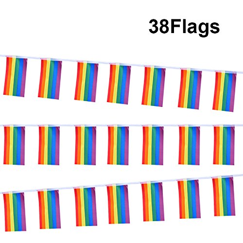 31Feet Rainbow Flag LGBT Pride Flag String,5.5" X 8.2" Human Rights Gay Men & Women Pride Flag Banner for Indoor/Outdoor  Decorations - G2plus