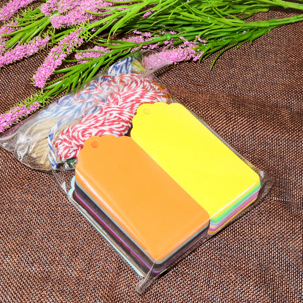200PCS Colorful Gift Tags, 20 Colors 9 cm * 4.5CM Blank Paper Labels with 4PCS Strings for Wedding Birthday - G2plus