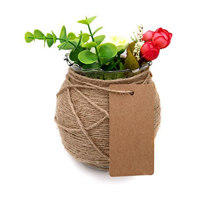 Father's Gift Tags, 3.5” x 1.7” Brown Gift Tags 100 PCS Kraft Paper Gift Tag with 100 Feet Jute Twine String for Arts and Crafts, Wedding Christmas Day - G2plus