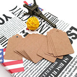 Price Tags, Kraft Paper Gift Tags 100 PCS Paper Tags with 100 Feet Jute String for Arts and Crafts, Wedding Christmas Day Thanksgiving,7 cm X 4 cm - G2plus