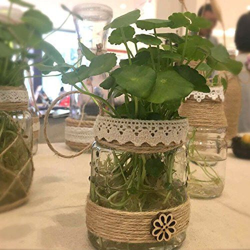 Natural Jute Twine for Crafts, 2mm x 328 Feet, Natural Hemp Cord Jute Rope Twine Roll for Arts & Crafts Gift Tags Christmas Present Wrapping DIY Gift Packaging - G2plus