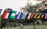 G2PLUS Flaggenkette Fahnenkette 2 * 7M Wimpelkette mit 24 Länder Fahnen Flaggen Perfekte Dekorationen für Bar, Party, Festival, Sportvereine (2*24 Länder Fahnen) - G2plus