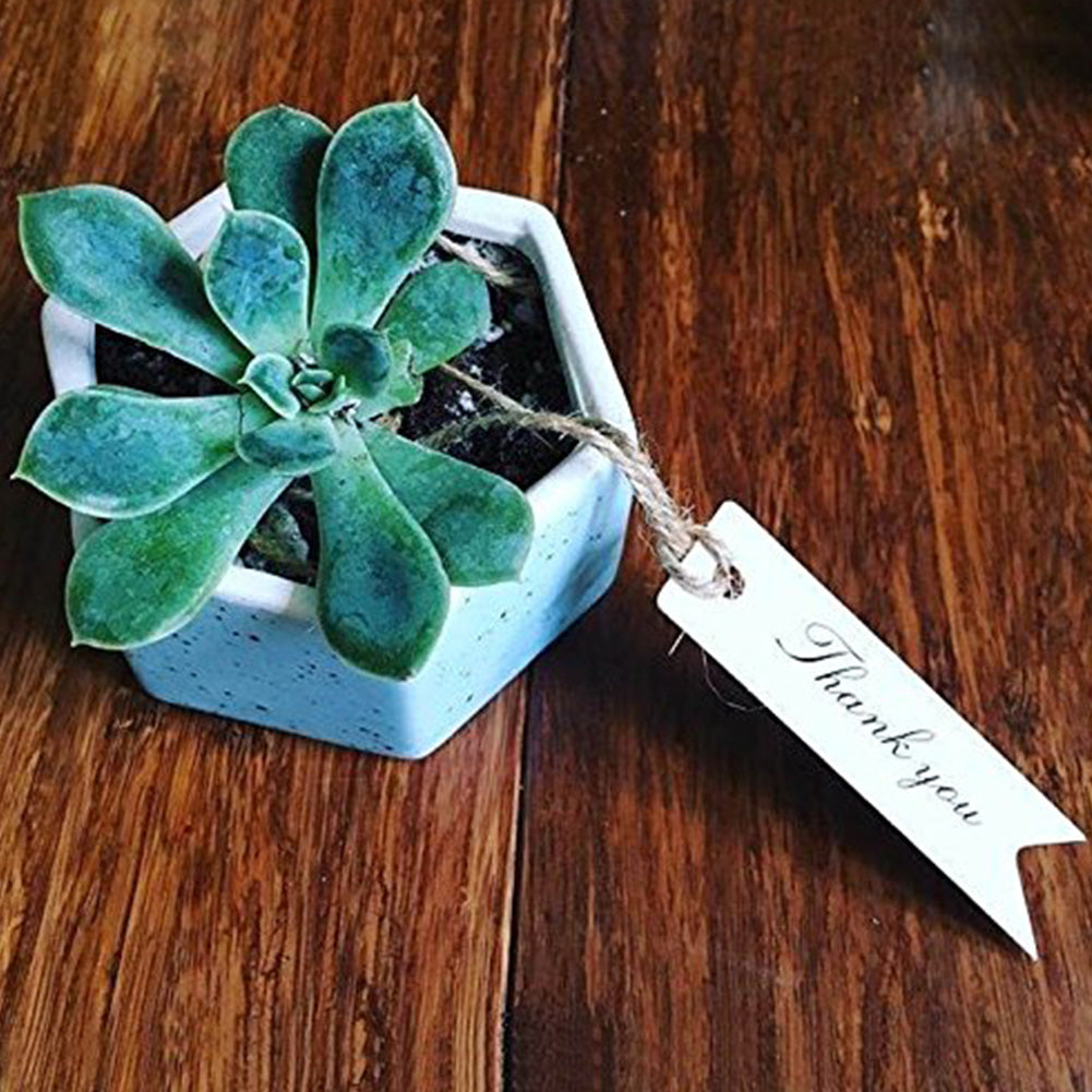 100 PCS Kraft Gift Tags Small Size 7 cm * 2 cm Blank Label Paper Wedding Labels Birthday Luggage Tags Brown Hang Tag with 30 Meters Jute Twine (Thank You -White) - G2plus